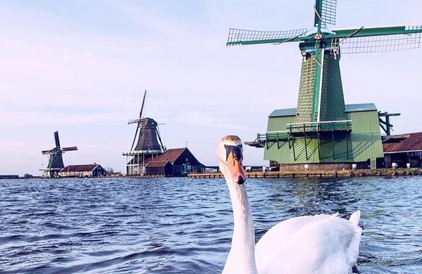 Zaanse Schans Windmills, Fishing Villages & Countryside