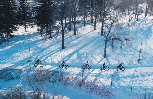 Introduction to Fat Biking Activity in Quebec City