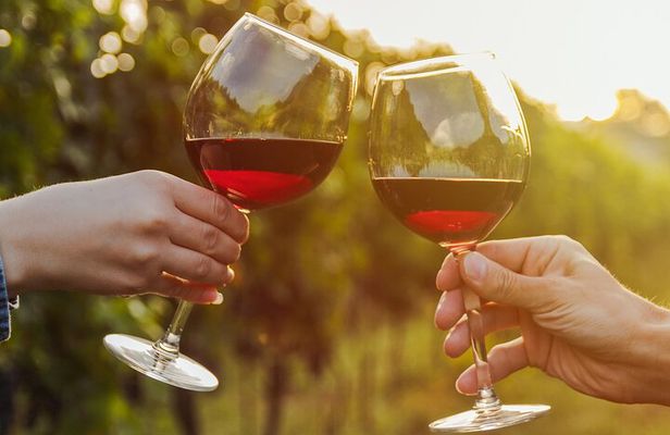 A Wine Tasting Experience in the Vineyards of the Desert