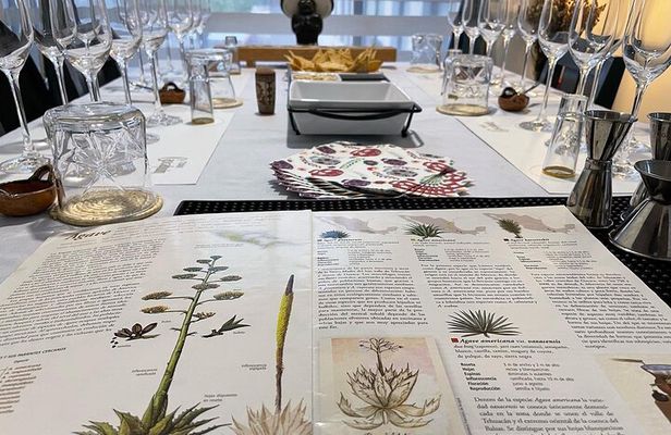 Mezcal & Tequila Tasting at Mexico City with full dinner