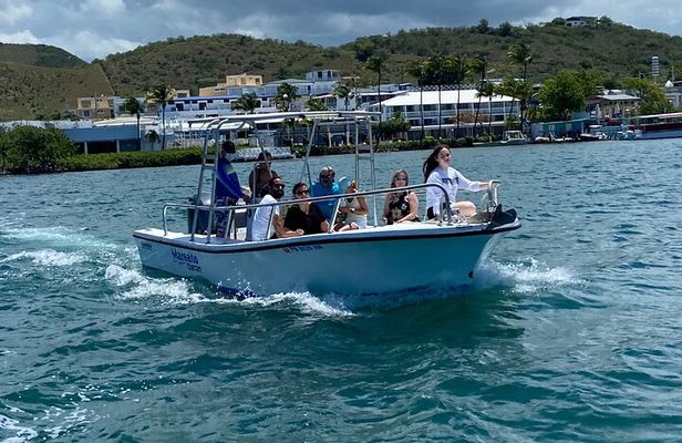 Puerto Rico: Bio Bay Swim and Sunset Charter or Late night tour 