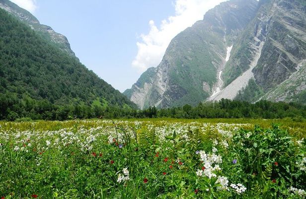 Valley of Flowers - UNESCO World Heritage Site, Uttarakhand