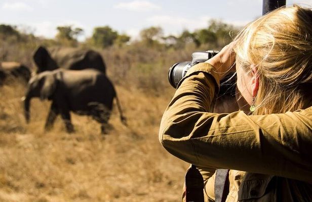 3-Days Lodge Safari in Tarangire, Ngorongoro Crater & Lake Manyara