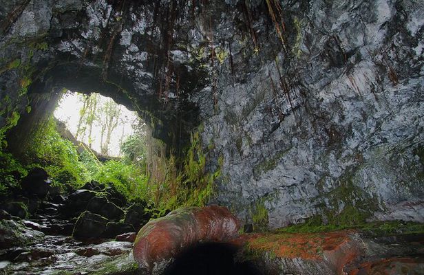 Hilo Shore Excursion: Volcano Safari Lava Caves, Falls and More