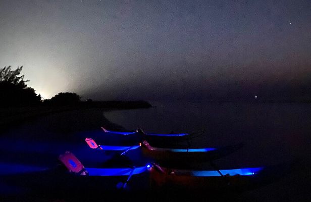 Discover Bioluminescence in Kayak with a Guide