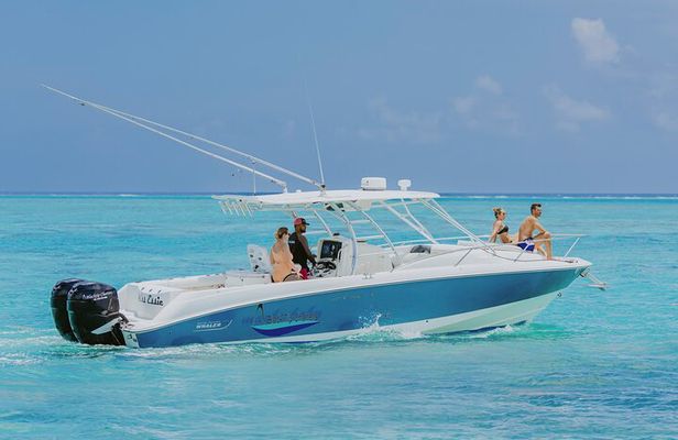 Half-Day Private Stingray City Charter - Grand Cayman - BTC