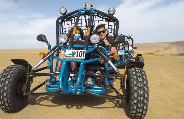 Excursion in Minibuggys in Paracas National Reserve