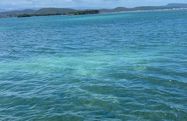 Full-Day Private Cruise in Cayo Caracoles