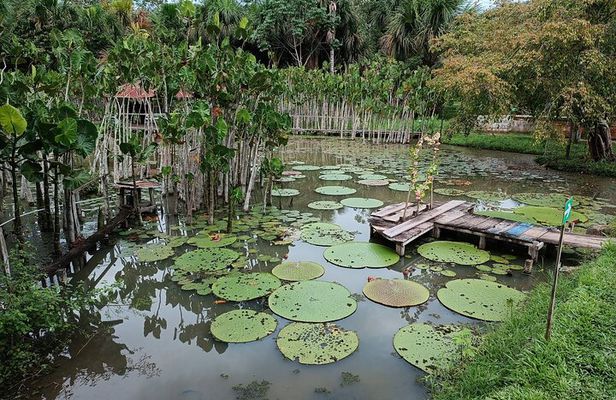 Amazon River Adventure Full Day Tour