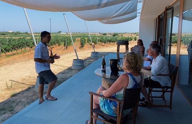 Winery Tour in Menorca with Wine Tasting