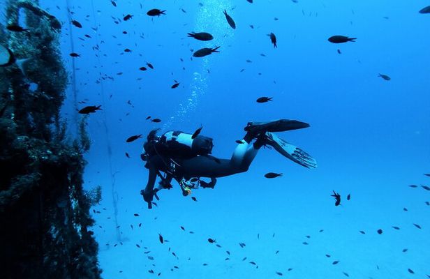 2 Scuba Fun Dives for Certified divers in St Paul's Bay