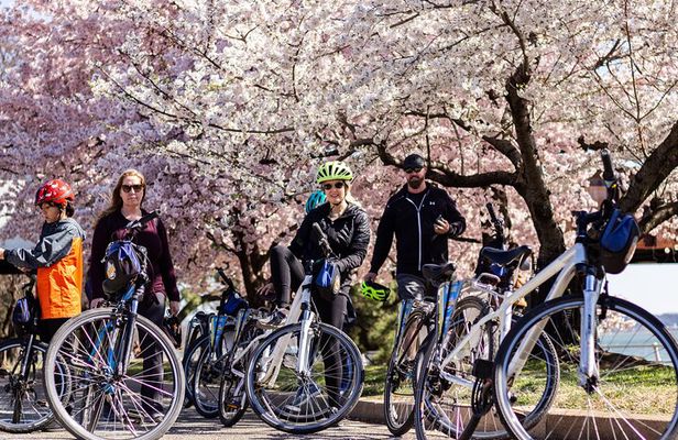 Washington DC Cherry Blossoms By Bike Tour
