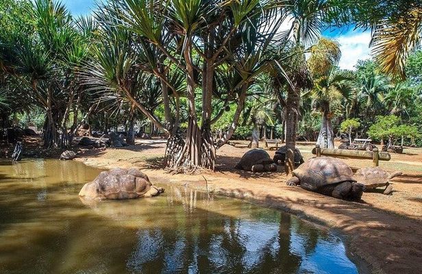 Crocodile Nature Park