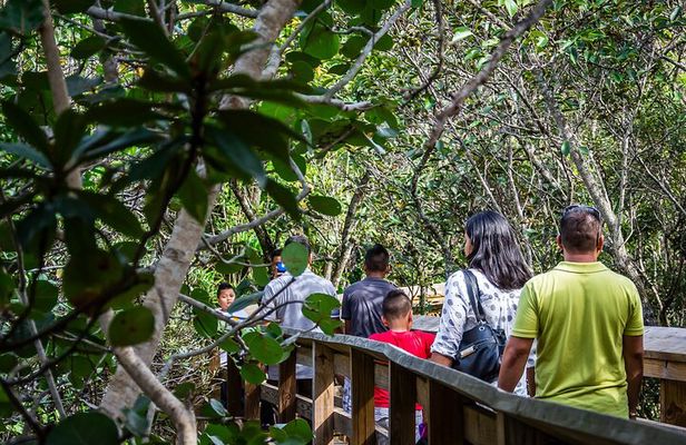 MIAMI: Everglades Airboat, Wildlife Gator Show and Photo