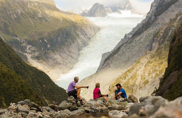 Fox Glacier Nature Tour