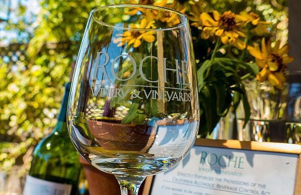 Half-Day Wine Tour Plus Hop-On Hop-Off Bus Pass
