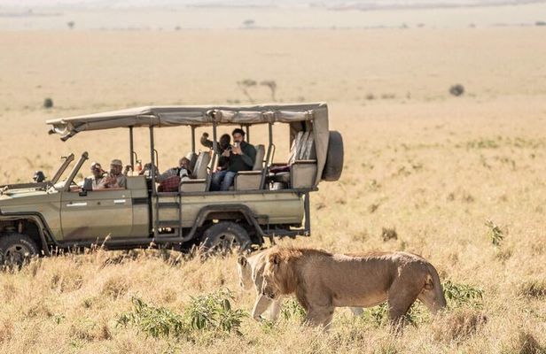Overnight Budget Camping Tour to Maasai Mara.