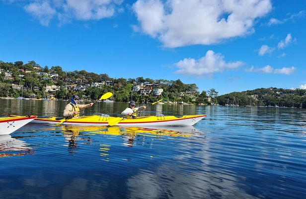 1 Hour Rental in a Deluxe Double Sea Kayak