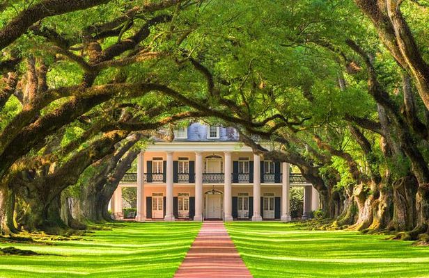 Small Airboat and Oak Alley Plantation Tour from New Orleans