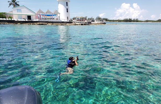 Rose Island: Private Snorkeling, Fishing, and Swimming with Pigs