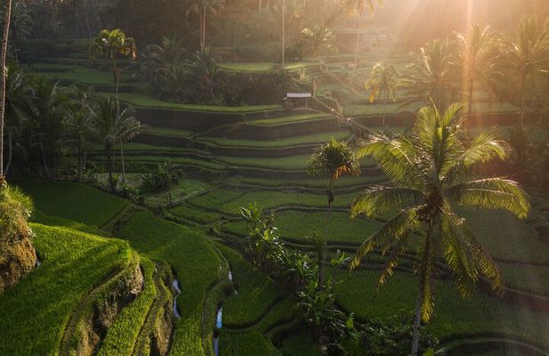 Bali Nature and Paradise Escape | With The Best Bali Driver