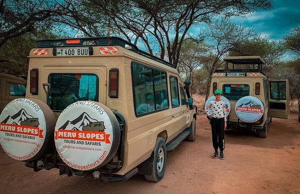 6 Days Tanzania Budget Camping Safari with Migration 