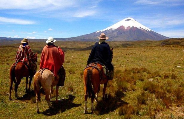 Cotopaxi Horseback Ride: El Pedregal Valley Day Tour from Quito