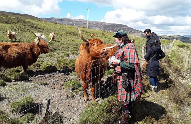 Full-Day Private Guided Shennachies Road to Isles and Skye Tour