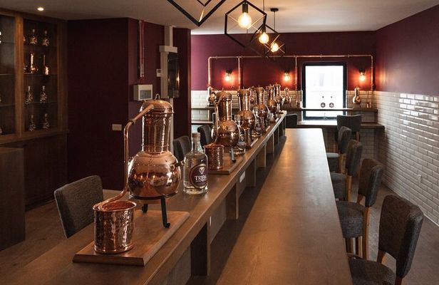 Tribe Gin School Experience in Galway
