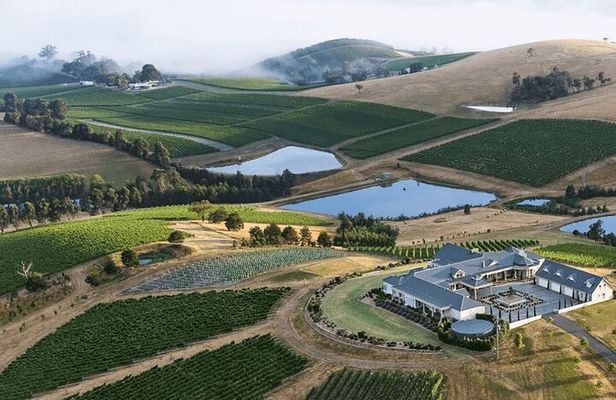Winery Lunch by Helicopter to Levantine Hill in Yarra Valley