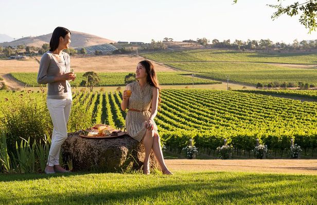 Yarra Valley Wineries Private Day Tour