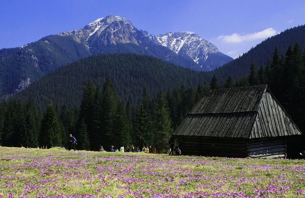 Zakopane Town in Tatra Mountains - Excursion from Krakow