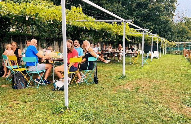 Savor Ossola Wines & Local Treats in a Scenic Vineyard