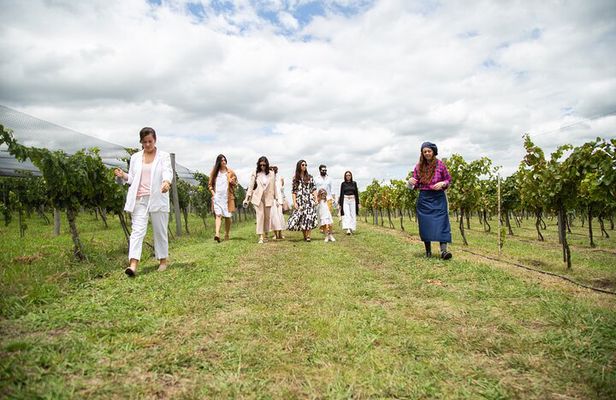 Bodega Gamboa Small-Group Wine Tasting Tour with Lunch