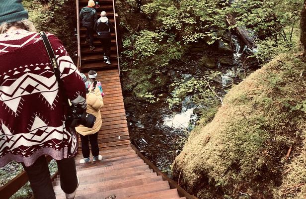 Alaska Bigfoot Adventures