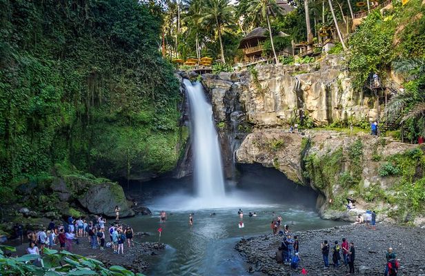 Best of Ubud 1-Day Private Tour