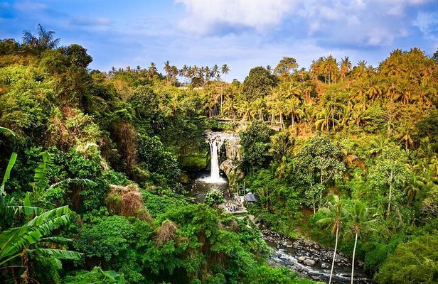 Full-Day Highlights and Best of Ubud Village