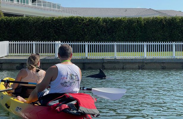 Kayak Eco Tour in Don Pedro Island