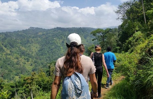 Materuni Thundering Waterfalls,Coffee Experience with Moshi Town Tour