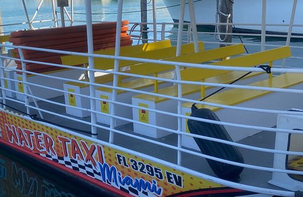 Hop-On Hop-Off Cruise Ticket in Bayside and South Beach in Miami