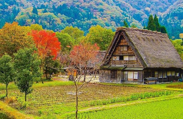 【Private Tour】Shirakawa-go & Takayama 1-day tour from Nagoya