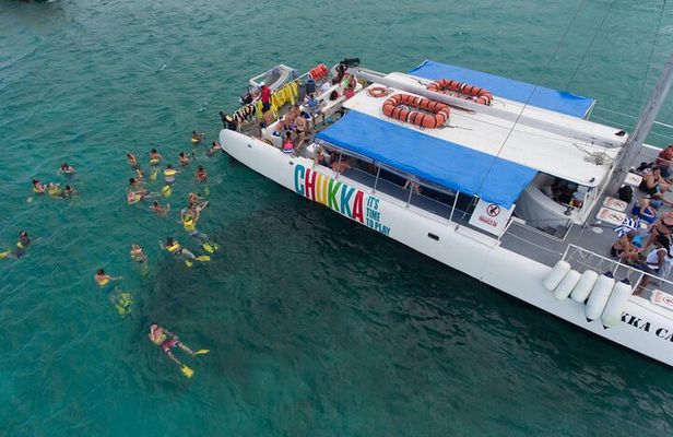 Zip-lining/Horseback Rides/Cat & Atv Inclusive Act with Transpo From Montego Bay