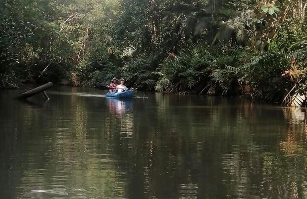 2-Hour Kayak Tour in Quepos