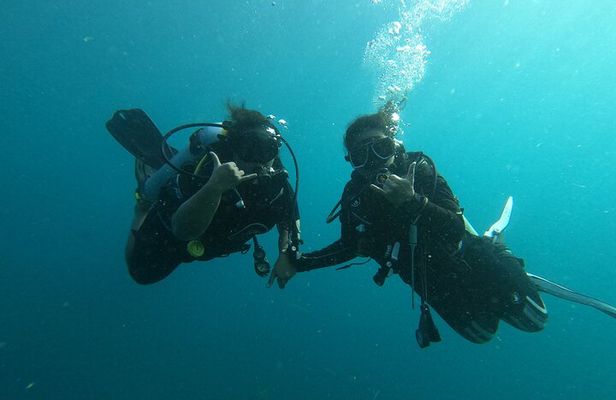 Private Half-Day Scuba Diving with expert (1Dive)