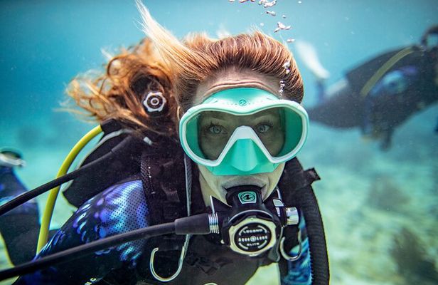 Try Dive - PADI Discover Scuba Diving in Tenerife