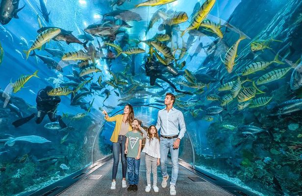 Dubai Mall Aquarium & Underwater Zoo Ticket with Private Transfer