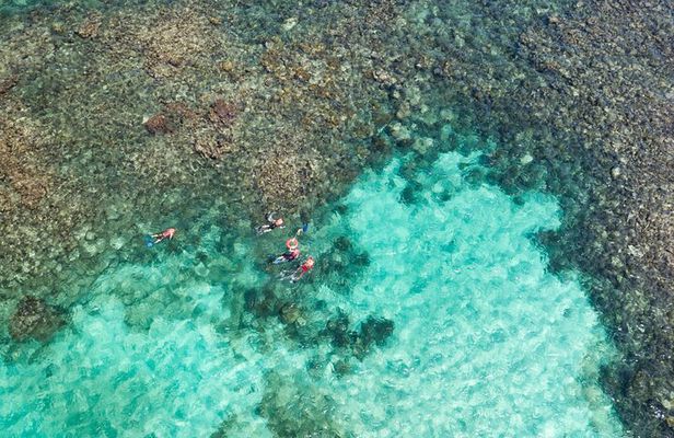 Puerto Morelos Catamaran Reef Sail and Snorkel
