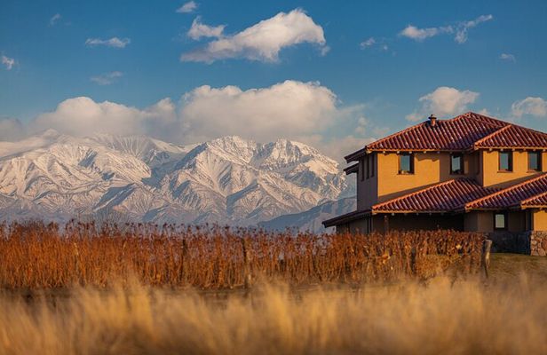 Bodegas & Olivares 1/2 day without lunch