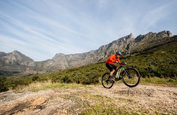 Private E-Bike Cape Town MTB Trails with a Pro