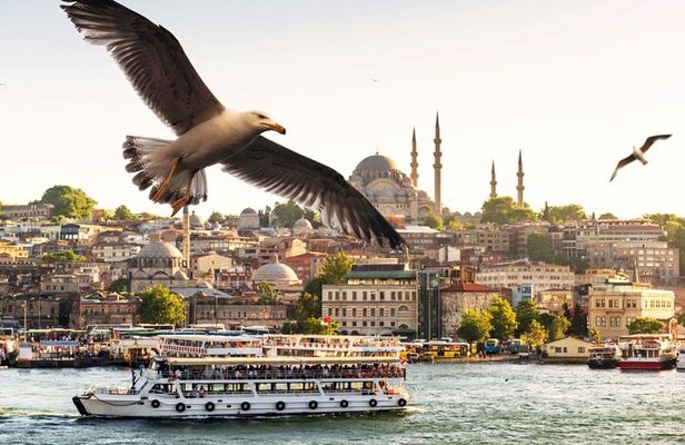 Istanbul: Bosphorus Morning or Sunset Cruise & Asian Side Stop